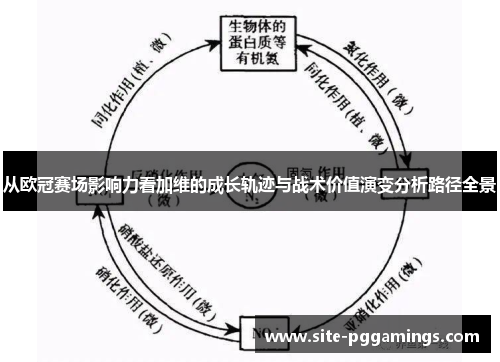 从欧冠赛场影响力看加维的成长轨迹与战术价值演变分析路径全景 从欧冠赛场影响力看加维的成长轨迹与战术价值演变分析路径全景